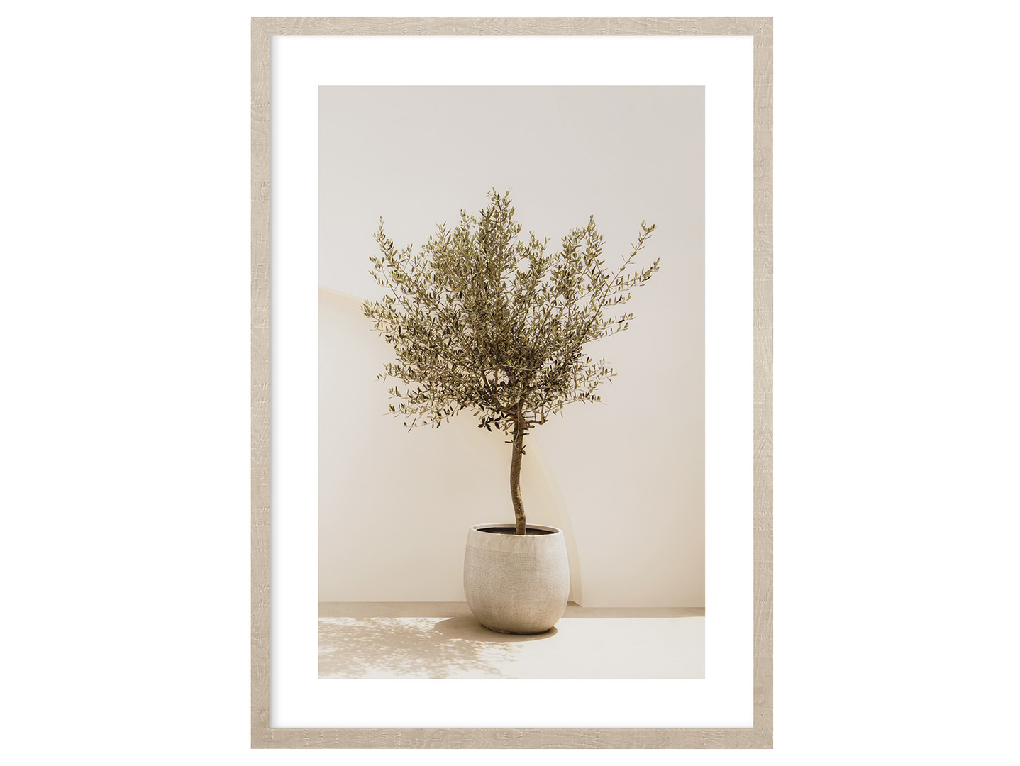 Obraz w ramie Olive Tree 53x73 cm