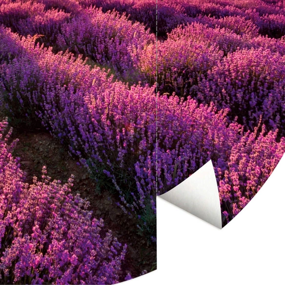 Vliestapete »Runde Vliestapete«, Lavendel Acker lila Landschaft, mehrfarbig, matt