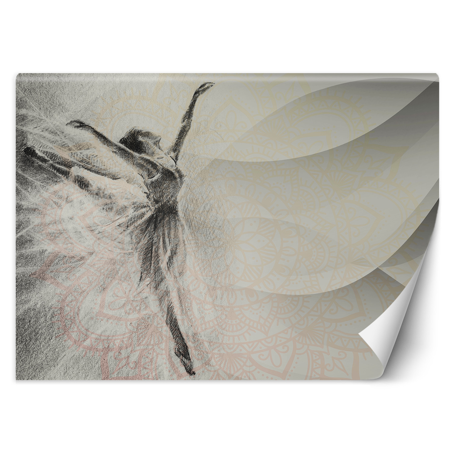 Feeby Fototapeta, Baletnica mandala tło 150x105