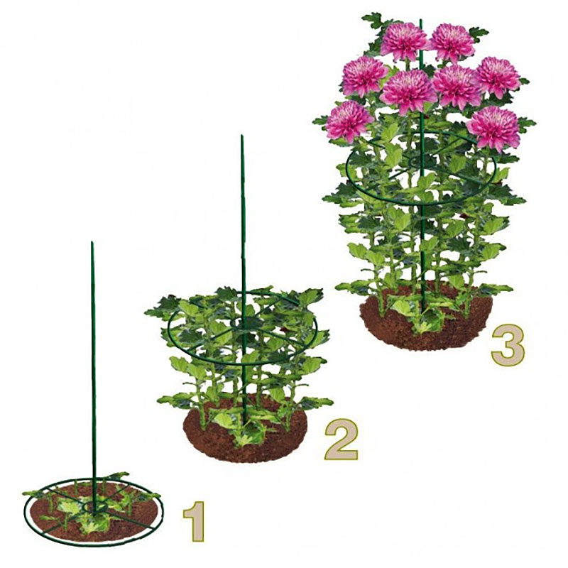 Växtstöd ring 40 cm, 2-pack