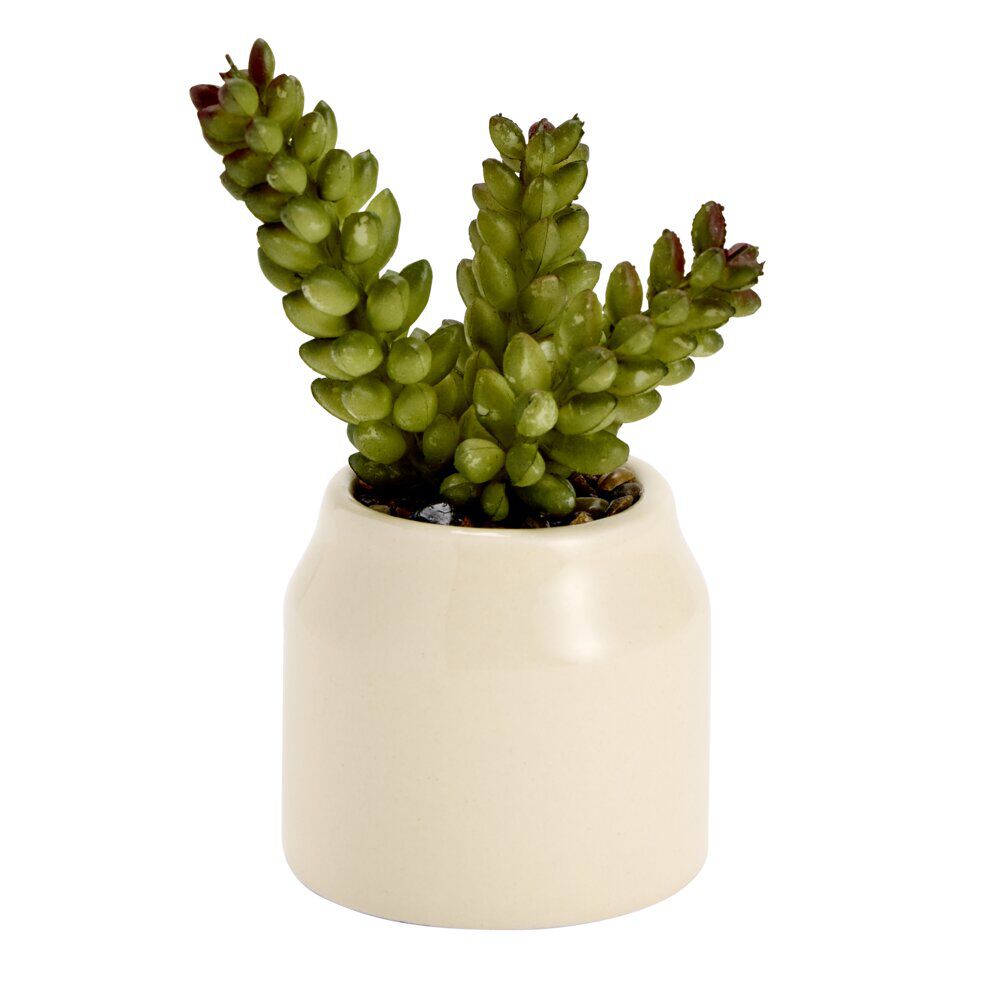 Plante grasse artificielle dans pot dolomite uni Ø6xH8cm (4 modèles)