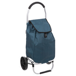 Carrinho de compras dobrável azul