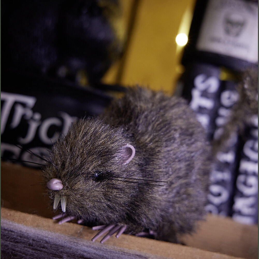 Rat noir ou marron décoration Halloween
