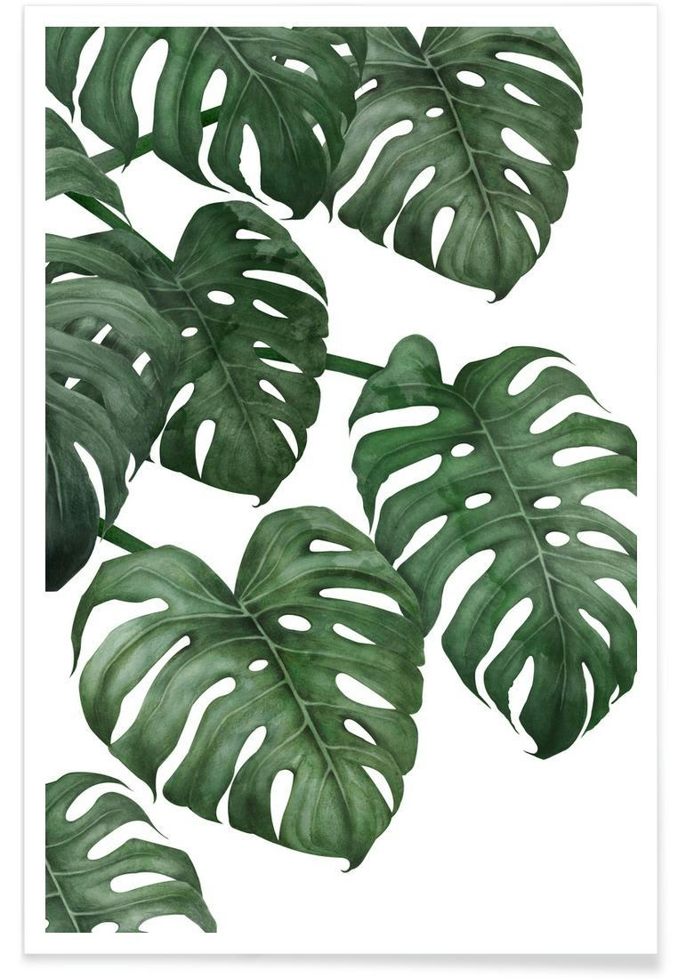 TROPICAL NO. 6 - Affiche blanc & vert