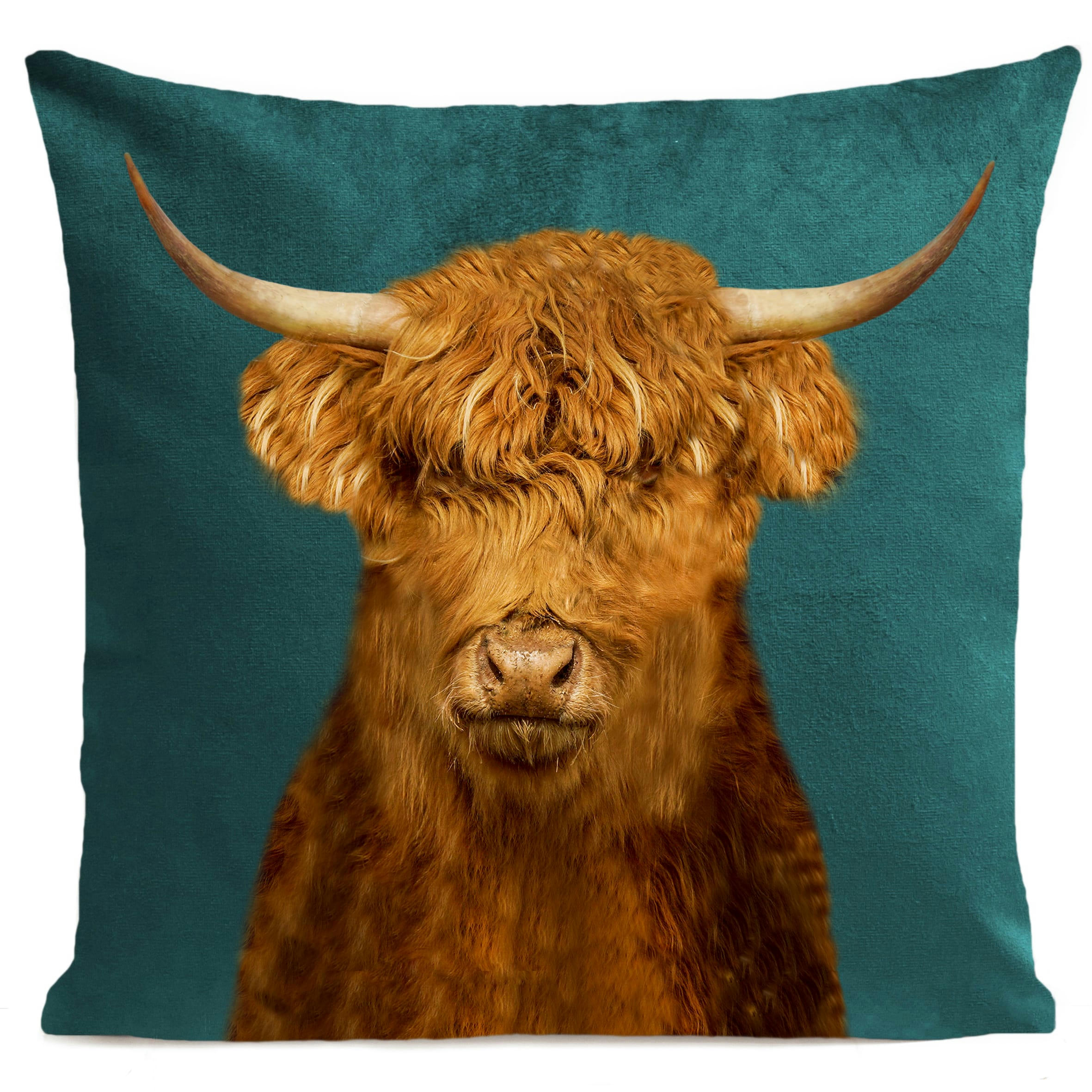 - Coussin campagne vache des highlands vert 40x40cm