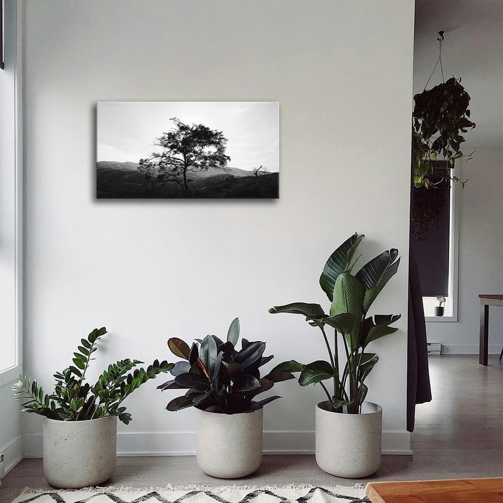 - Tableau impression sur toile un arbre dans les collines 50x90cm