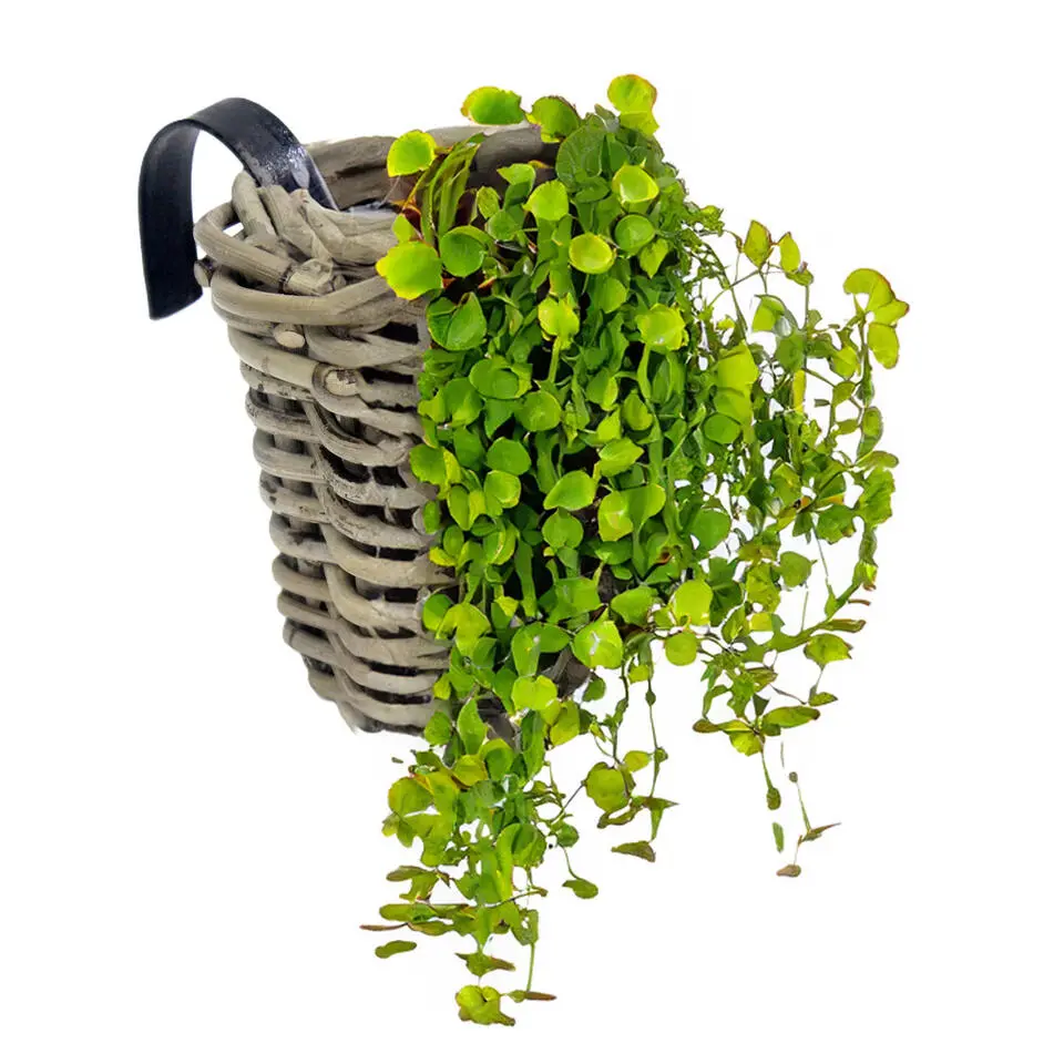 Van der Leeden Balkonmand - rond - rotan gevlochten - D15 cm