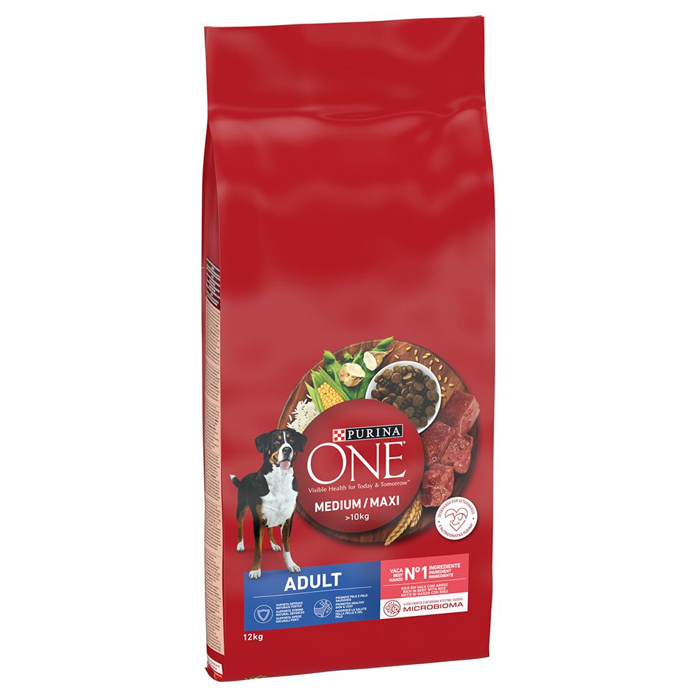 PURINA ONE Medium/Maxi Adult Beef & Rice