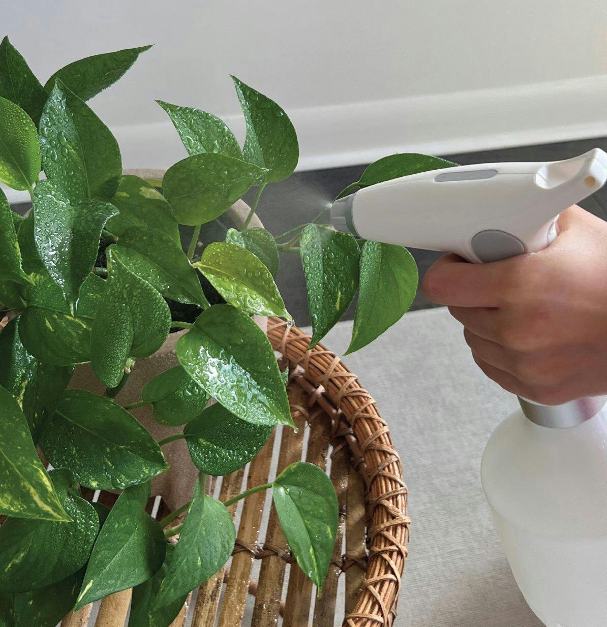 USB Rechargeable Indoor Handheld Planter Mister & Jet with LED Indicator, 1-L, White