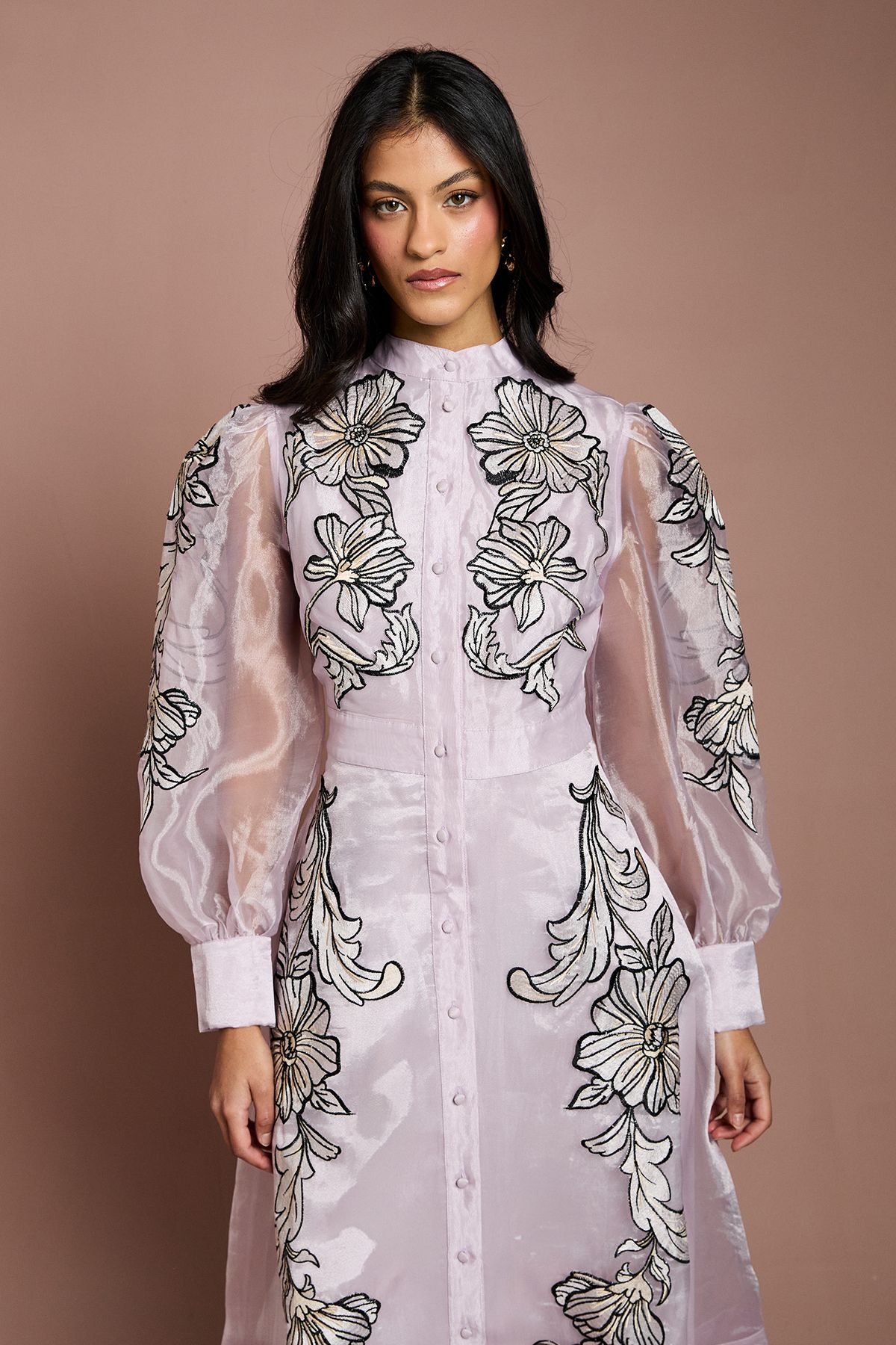 Coast Petite Placement Embroidered Long Sleeve Midi Dress