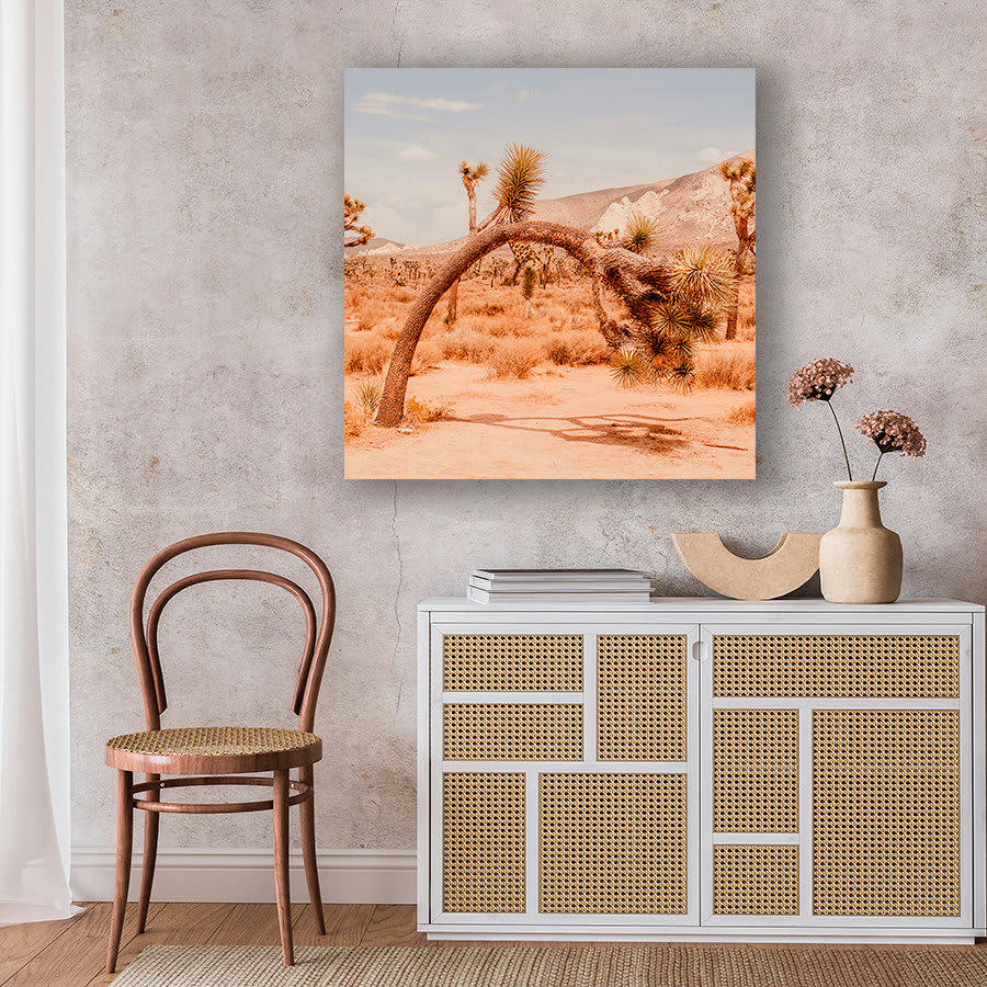 DANSE DE L'AGAVE - Photographie d'art d'Anthony Arbet 60x60 cm sur plexi