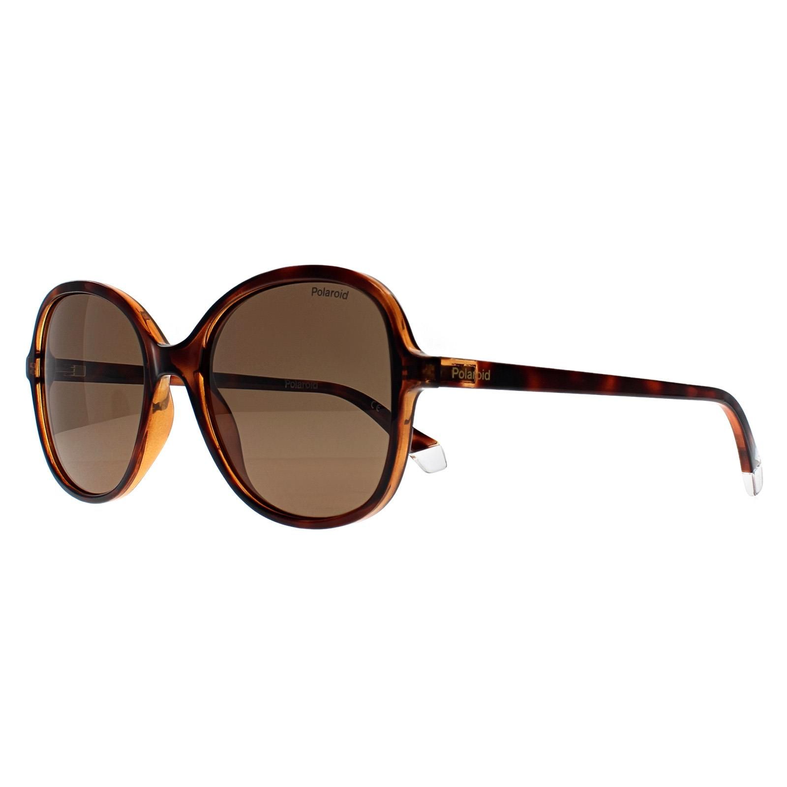 Polaroid Butterfly Havana Bronze Polarized PLD 4136/S