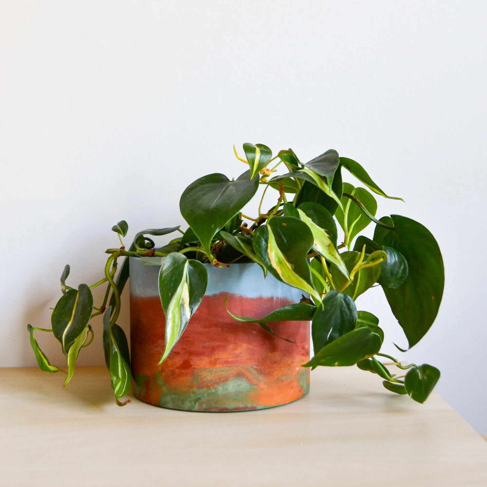Rainbow Watercolor Concrete Planter: Handmade Indoor Plant Pot