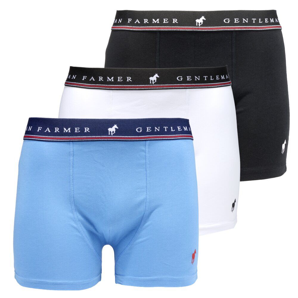 Boxer homme x3 Gentleman farmer coton strech taille élastique S/M/L/XL