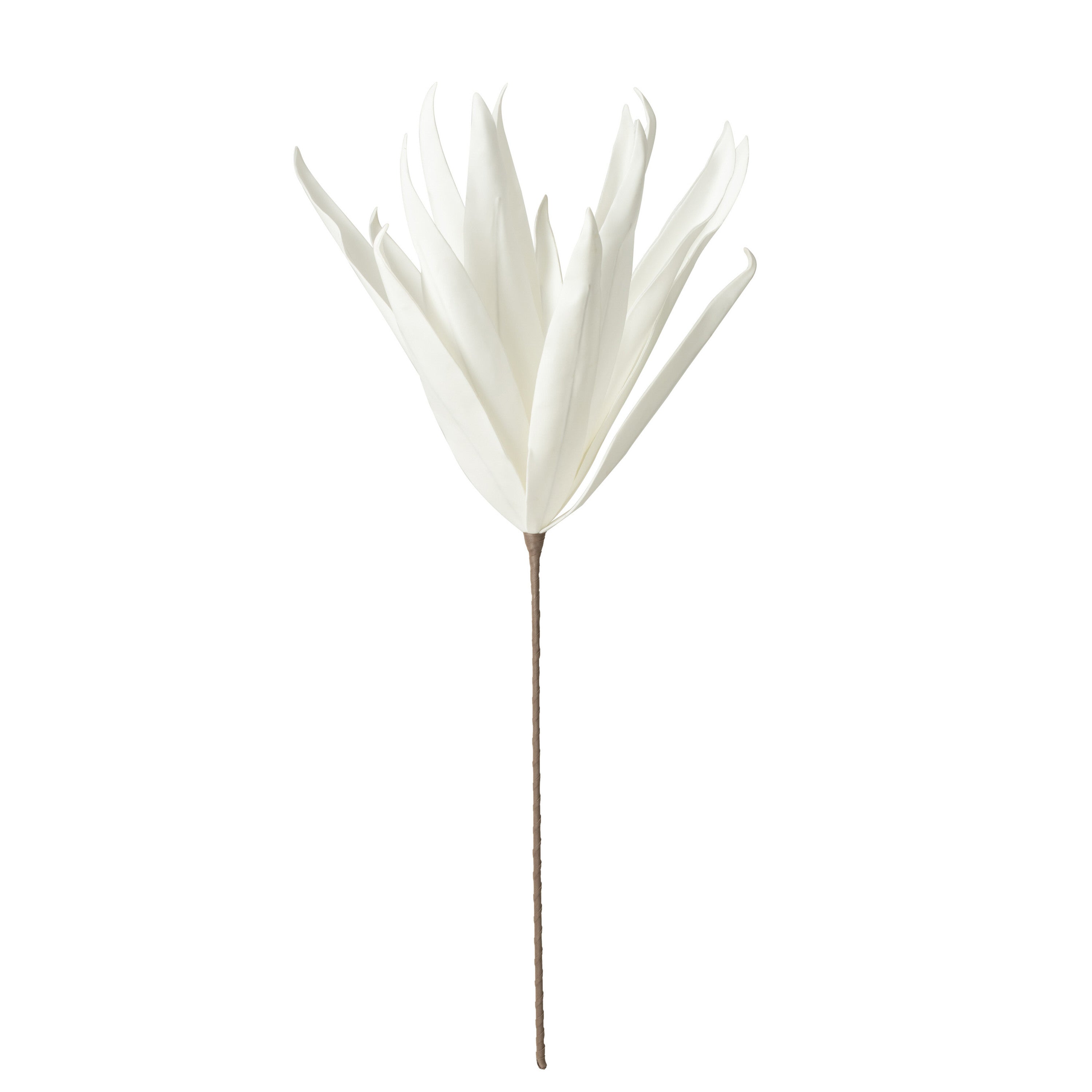J-Line Bloem Tak Lange Bladeren 1 Kop Eva - polyresin - wit