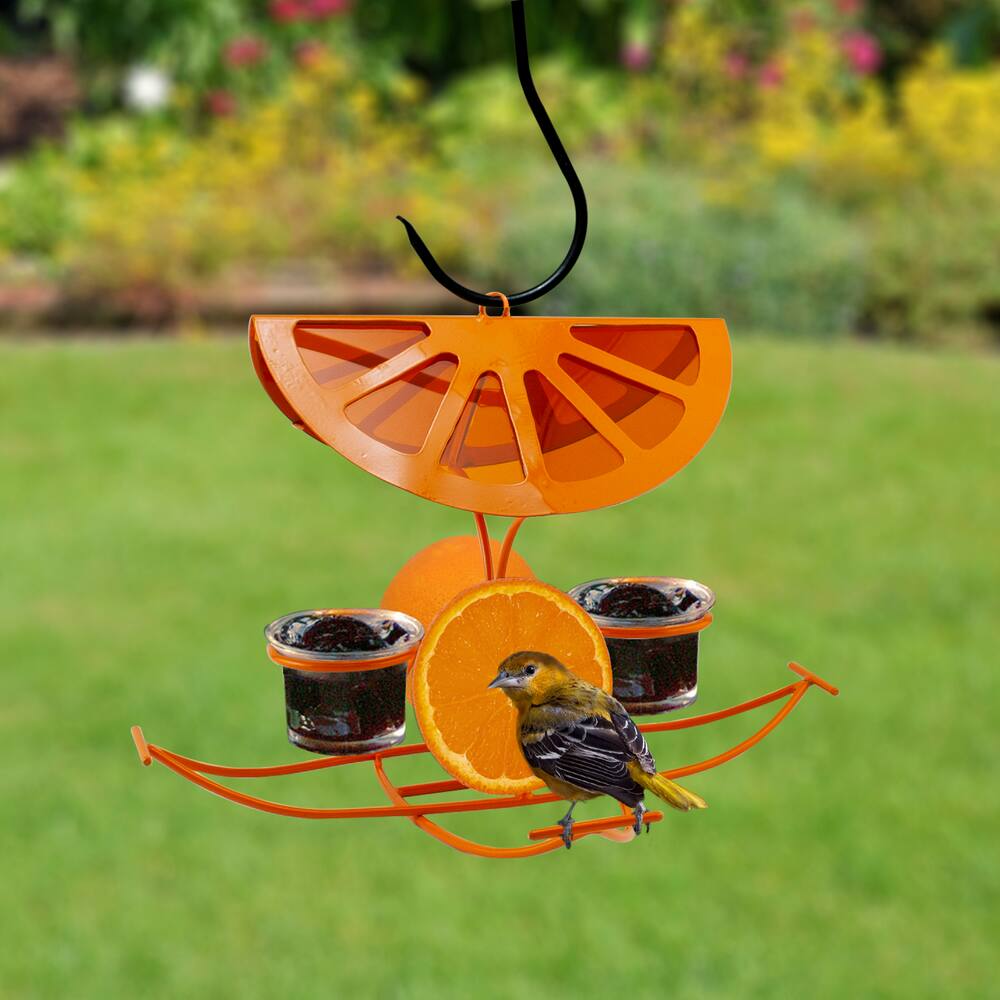 Panacea Bright Orange Slice & Jelly Oriole Bird Feeder with Metal Spikes, 11.5 x 11.5 x 8.5-in