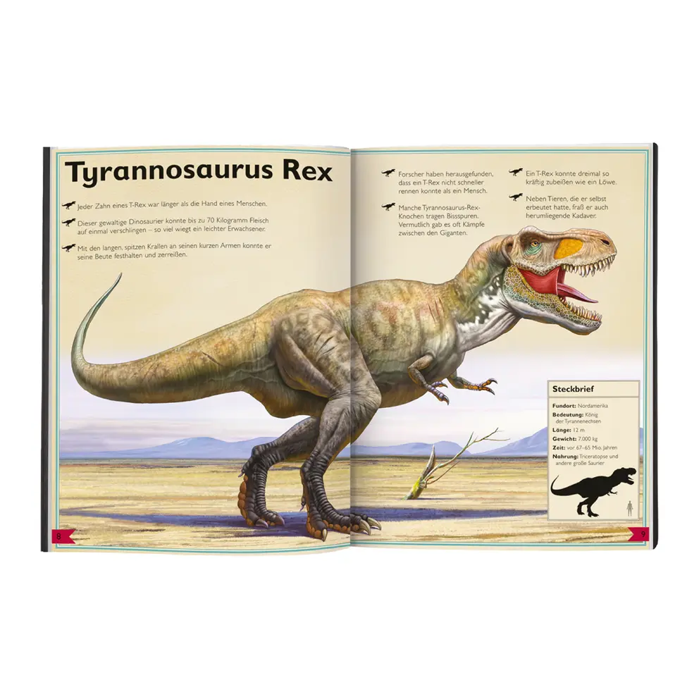 Kinderbuch Buch