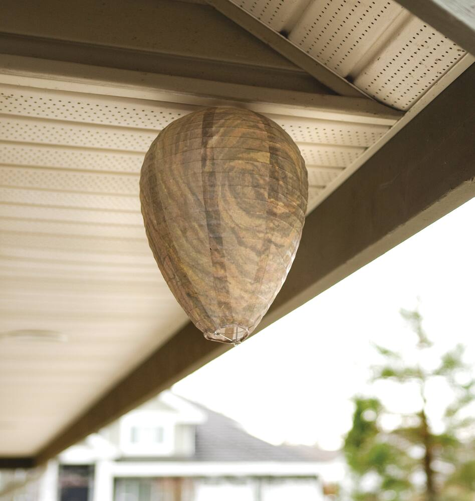 Bee-Free Natural Wasp, Hornet & Bee Deterrent, Non-Toxic, 2-pk