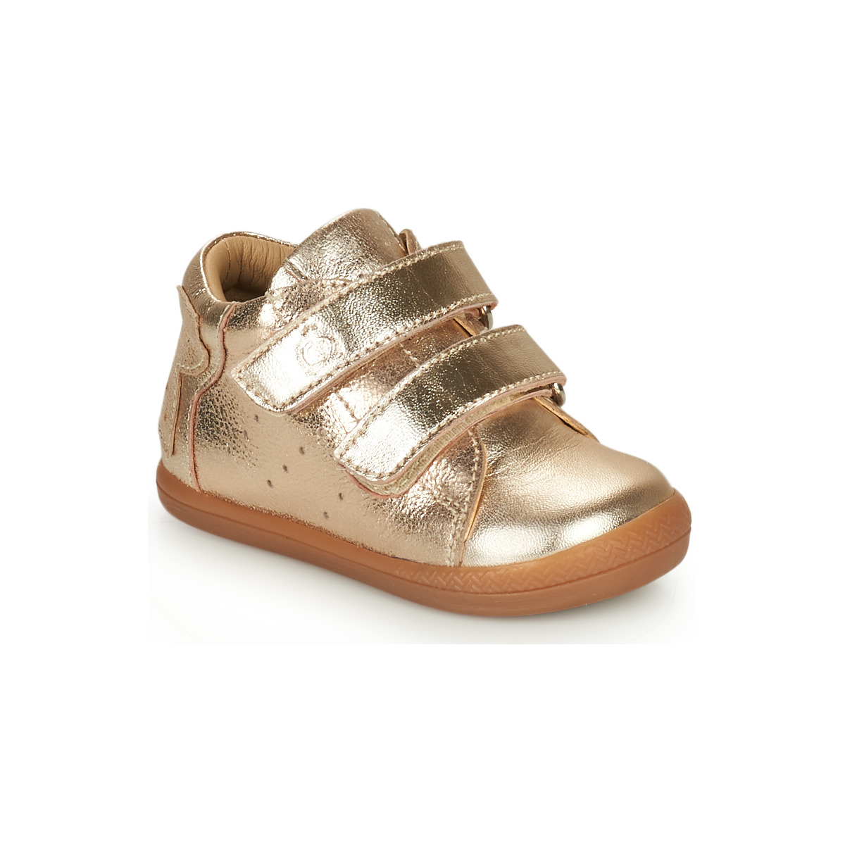 Citrouille et Compagnie - TAPELLE - Gold
