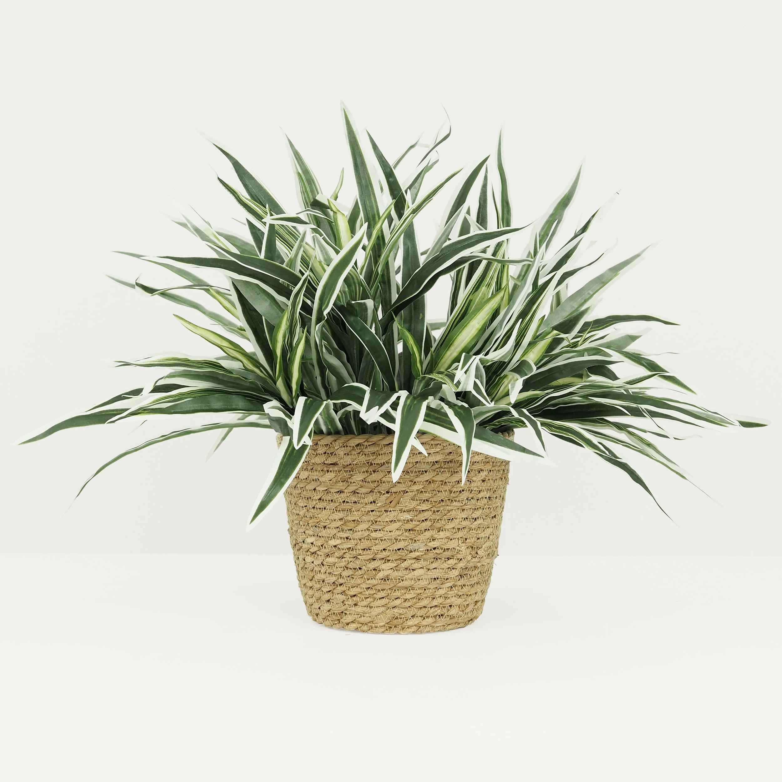 - Chlorophytum artificiel en bouquet 42cm