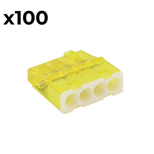 Boîte de 100 bornes 4 entrées - mini connex - Blm