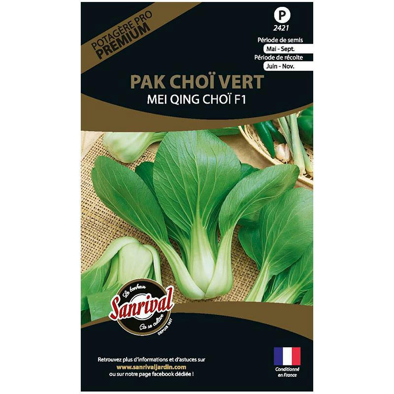 - Graines potagères premium pak choï vert