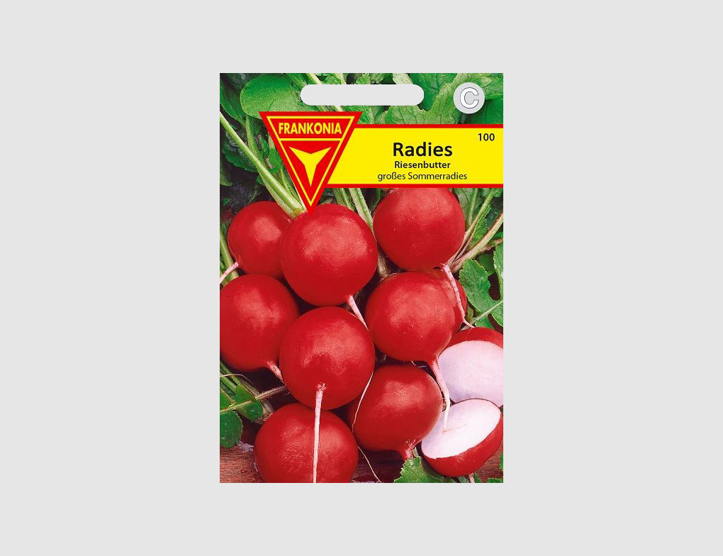 Radies Riesenbutter