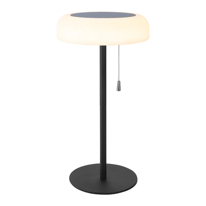 Solarleuchte Solar Light