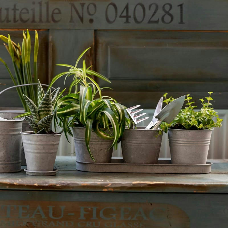 - Set 3 pots de fleur en zinc