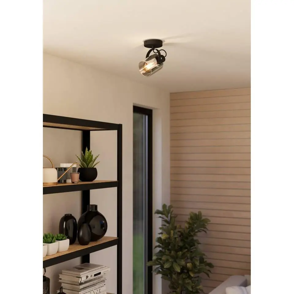 EGLO Berregas Spot - E27 - Rookglas - Zwart