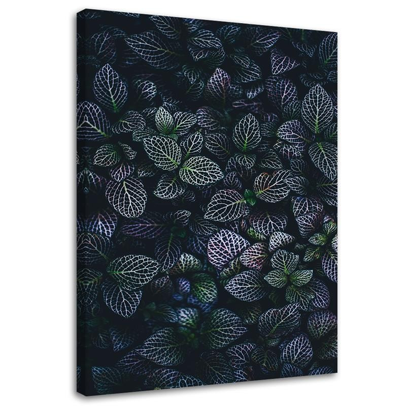 Feeby Obraz na płótnie, Liście rośliny natura 40x60