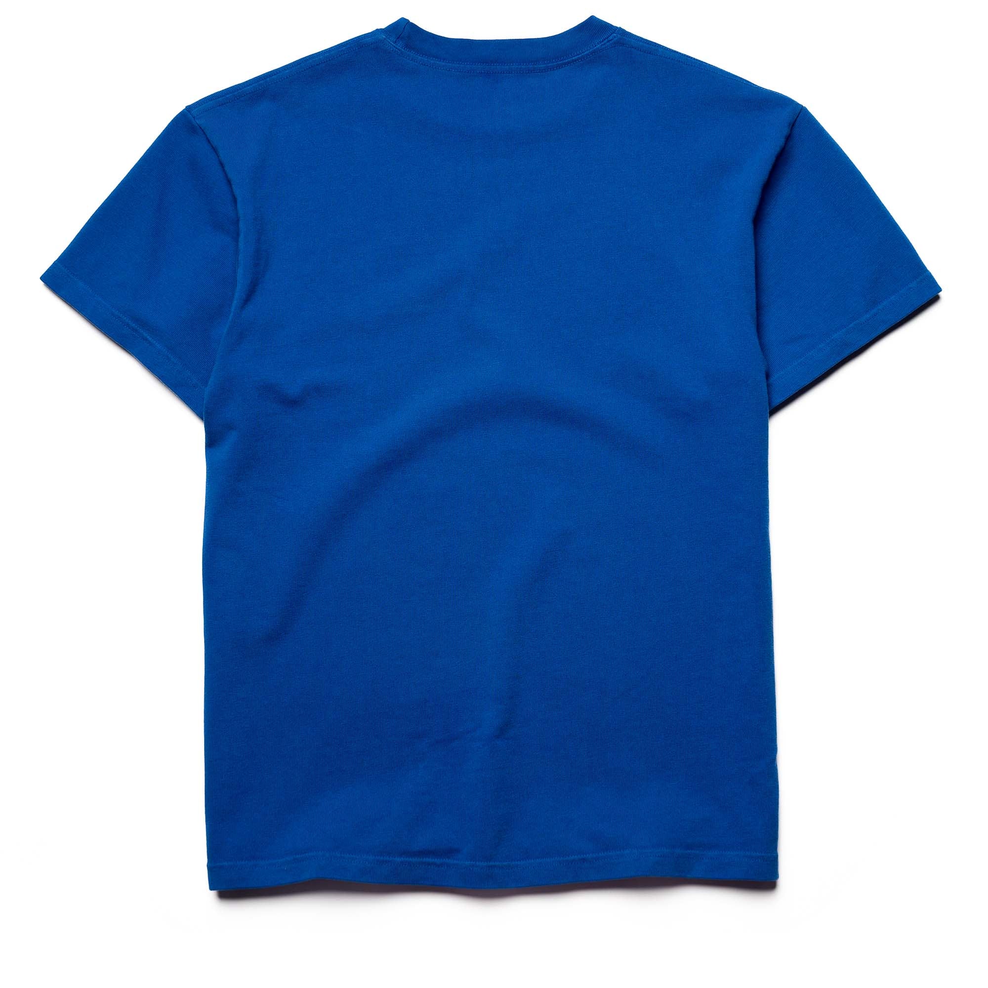 Always On Tour Enemy Of The State Tee - Blue