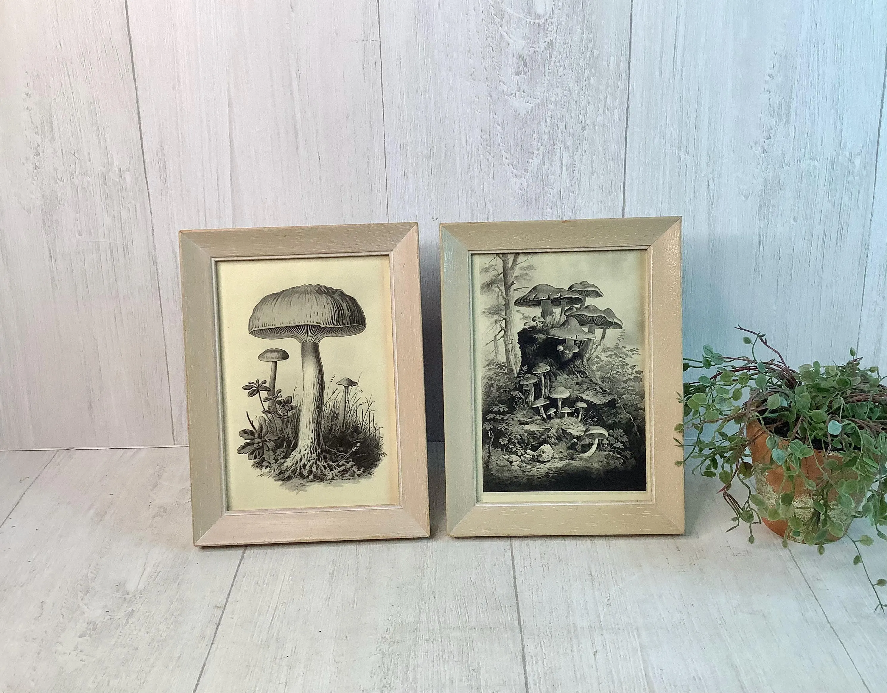 Pair of Vintage Wood Frames/ Farmhouse Style Light Beige Wooden Frames/ Cottagecore/ Boho Decor