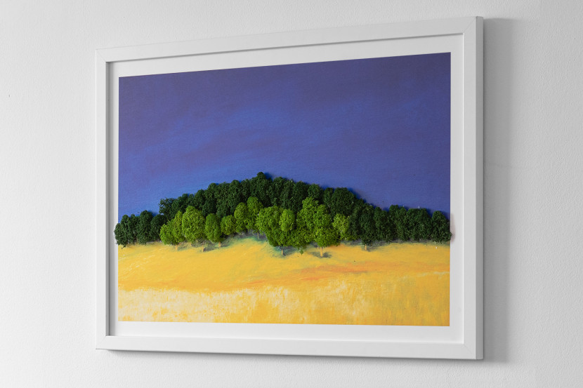 Obraz z mchem - Piękny krajobraz 60x40 cm Biała Rama