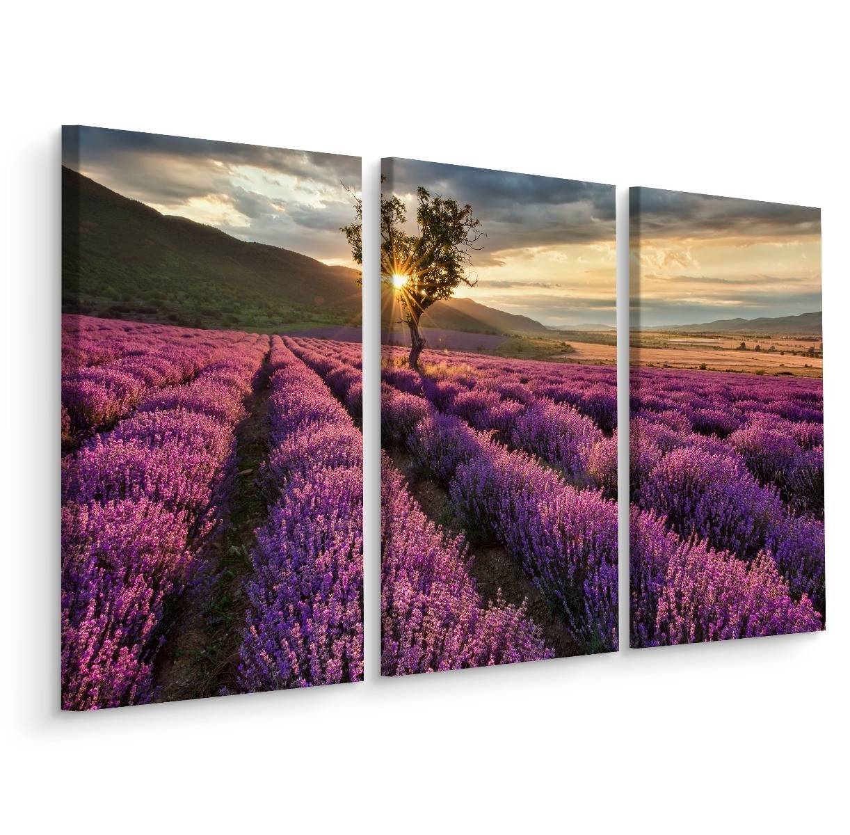 Obraz Tryptyk Pole LAWENDY Słońce Pejzaż 3D 60x40cm
