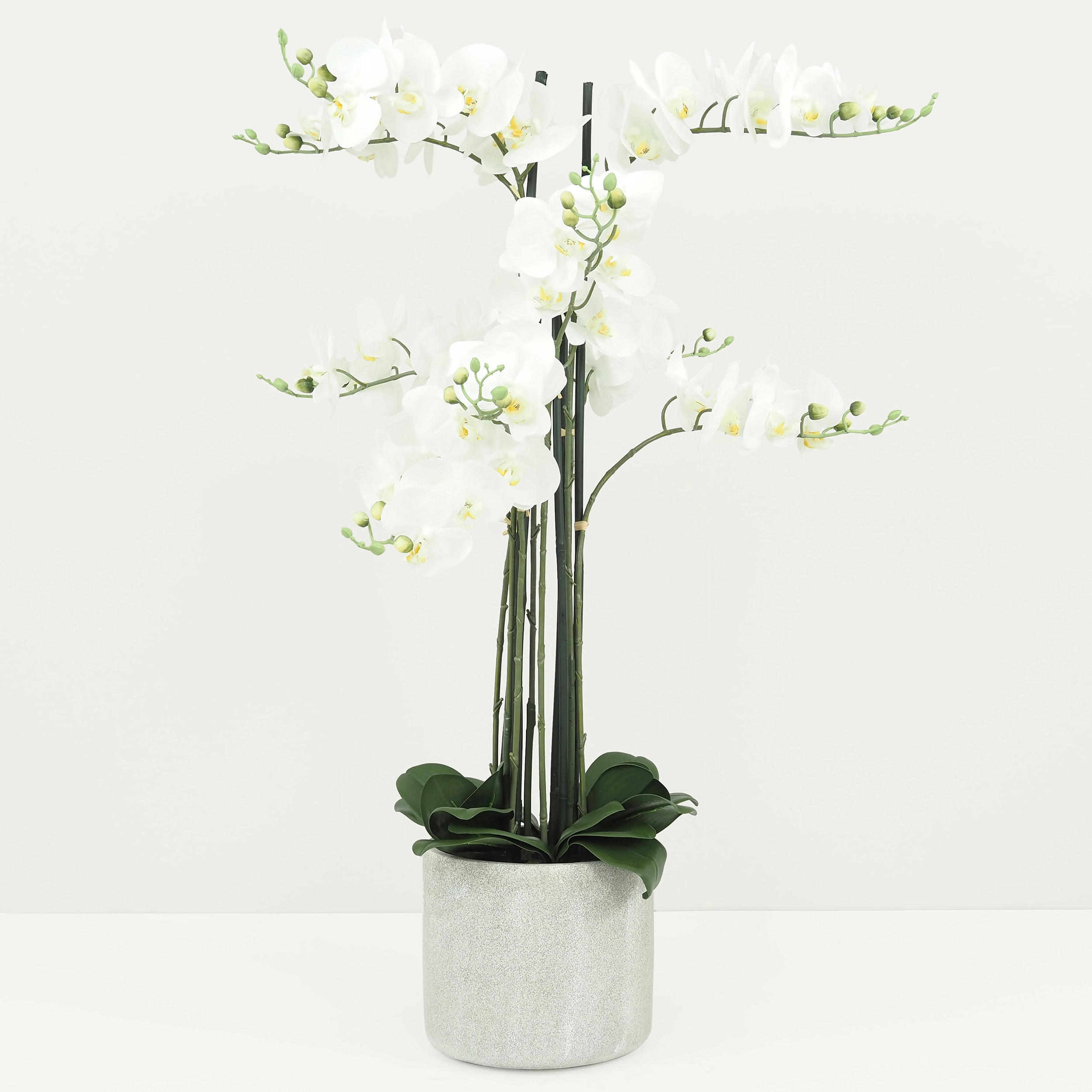 - Orchidées artificielles pot en ciment 105cm