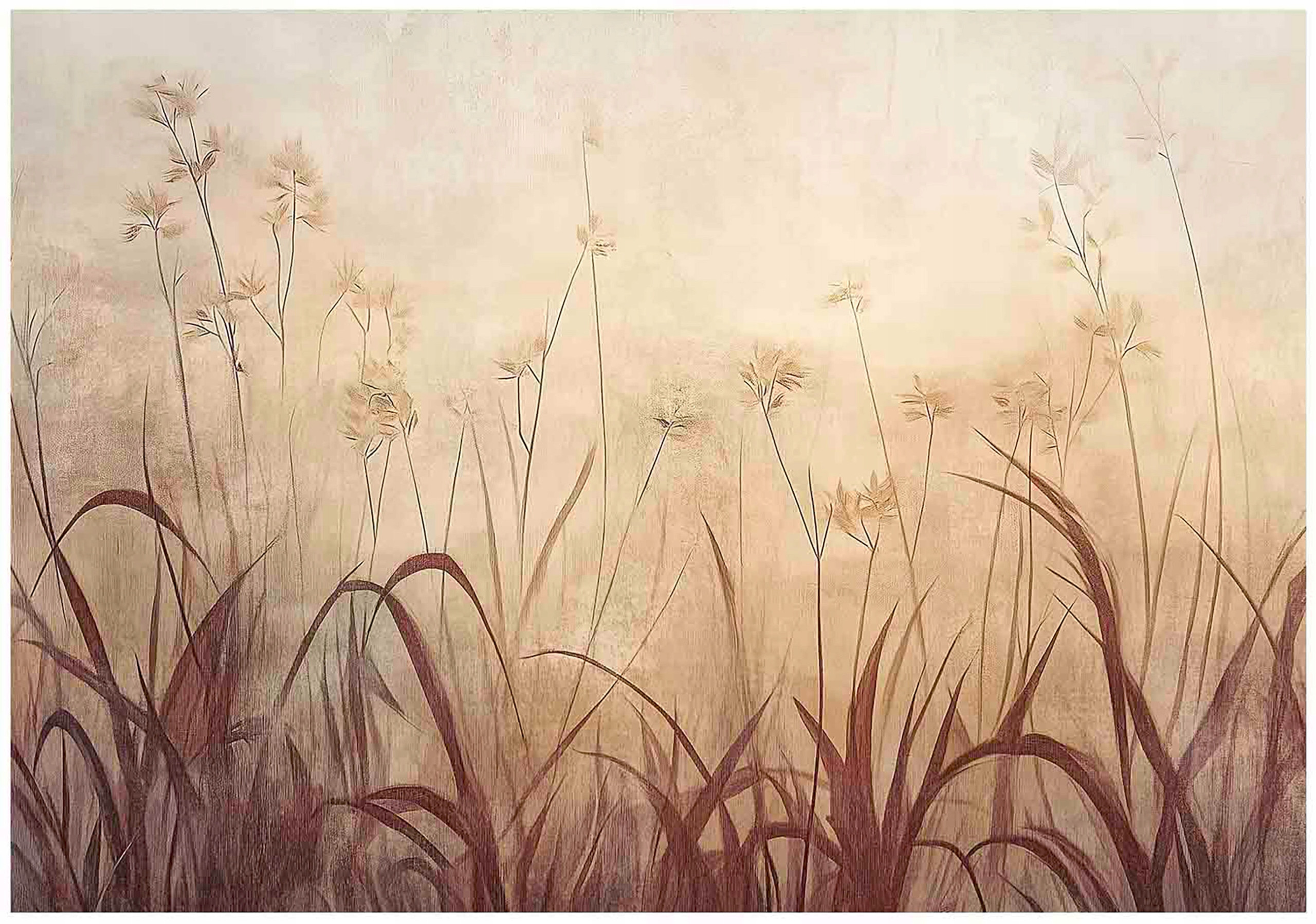 Fototapeta Trawa Boho Natura Sepia Na Ścianę Sypialnia Salon 250X175