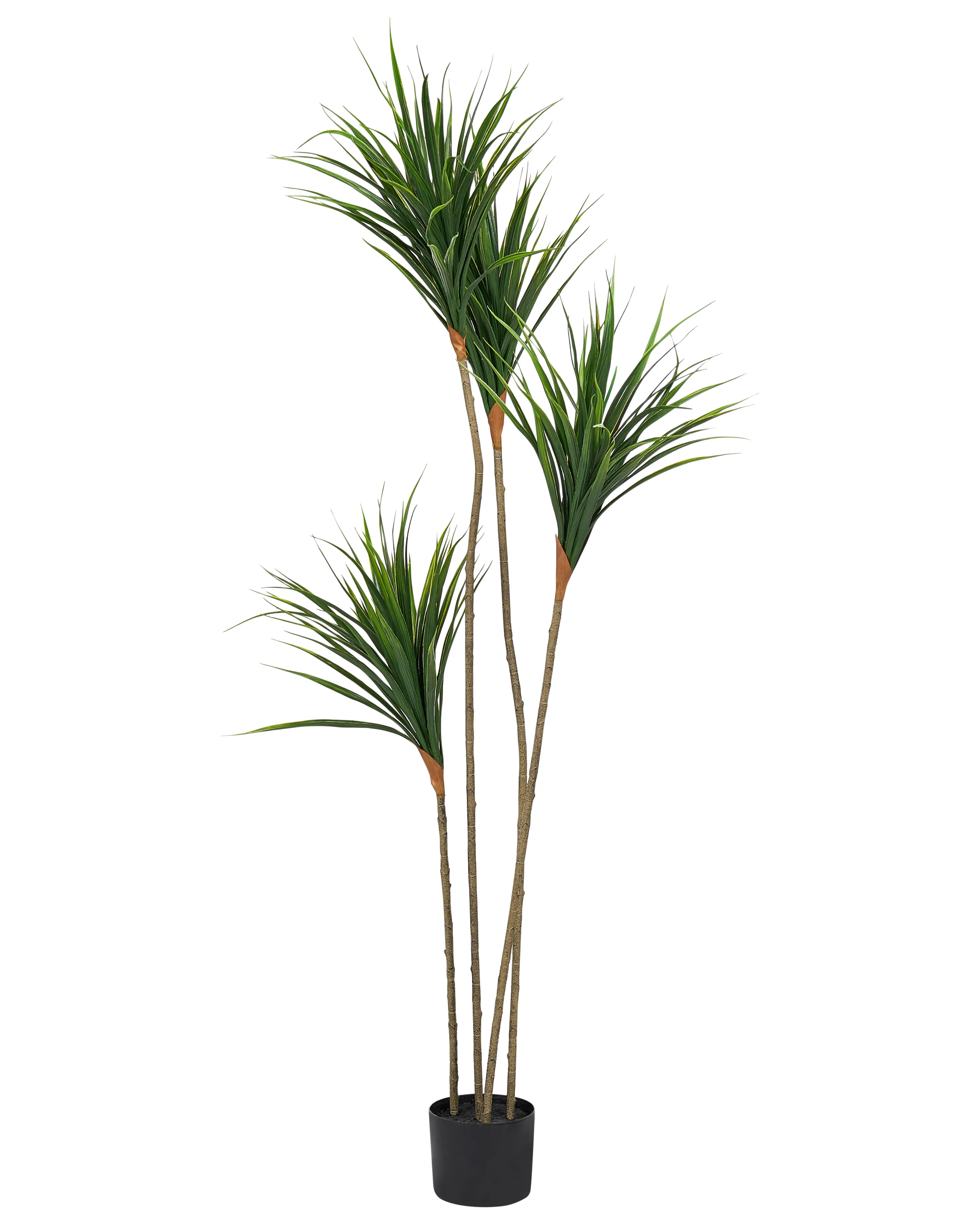 Artificial Plant DRACAENA DRACO 165 cm Green