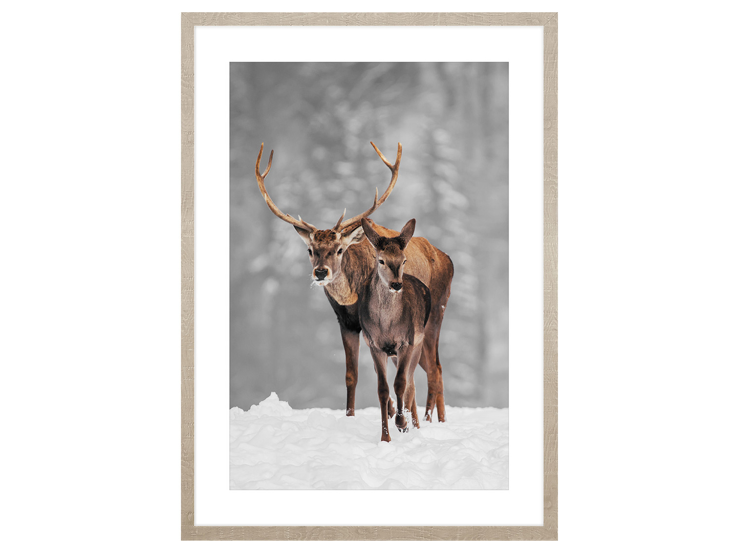 Obraz w ramie Deers Walk 53x73 cm