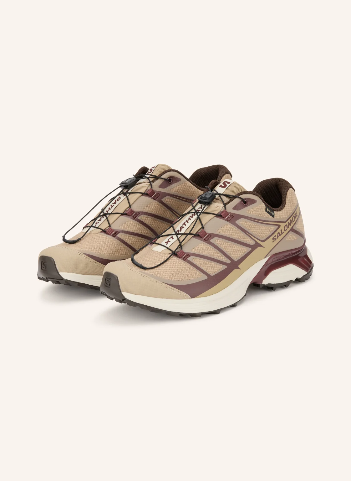 SALOMON Sneaker XT-PATHWAY GTX