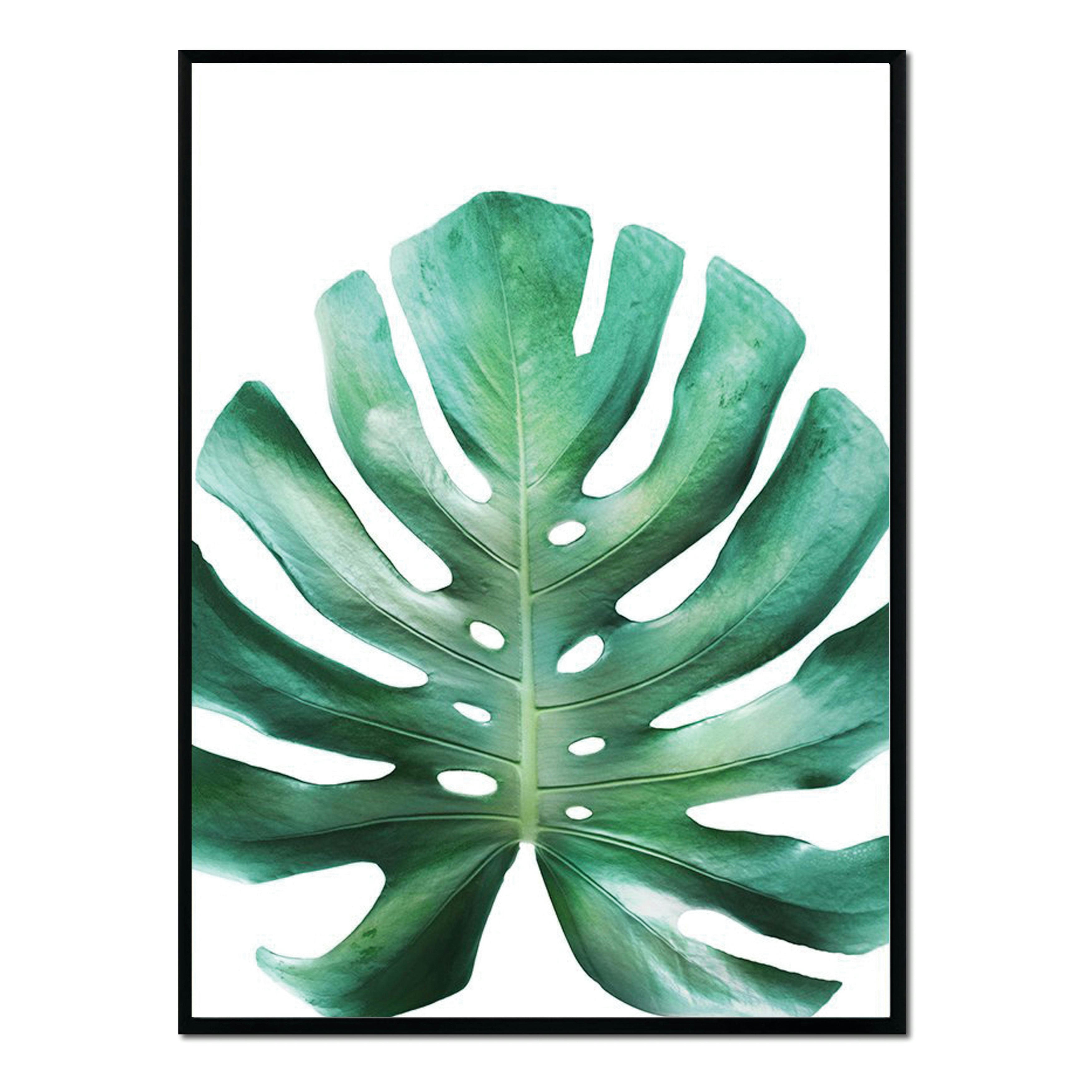 MONSTERA - Affiche avec cadre noir - Feuille verte - 30x40