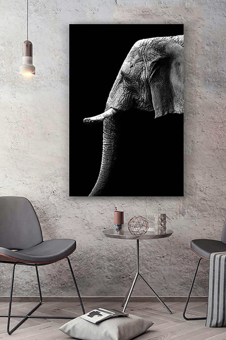 PROFIL D'UNE VÉTÉRANE - Photographie d'art de Guillaume Mordacq 40x60 cm sur alu