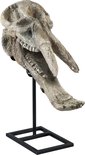 FurniLux Terra Wit Beige antiek poly schedel - 19.5x34.5x50cm
