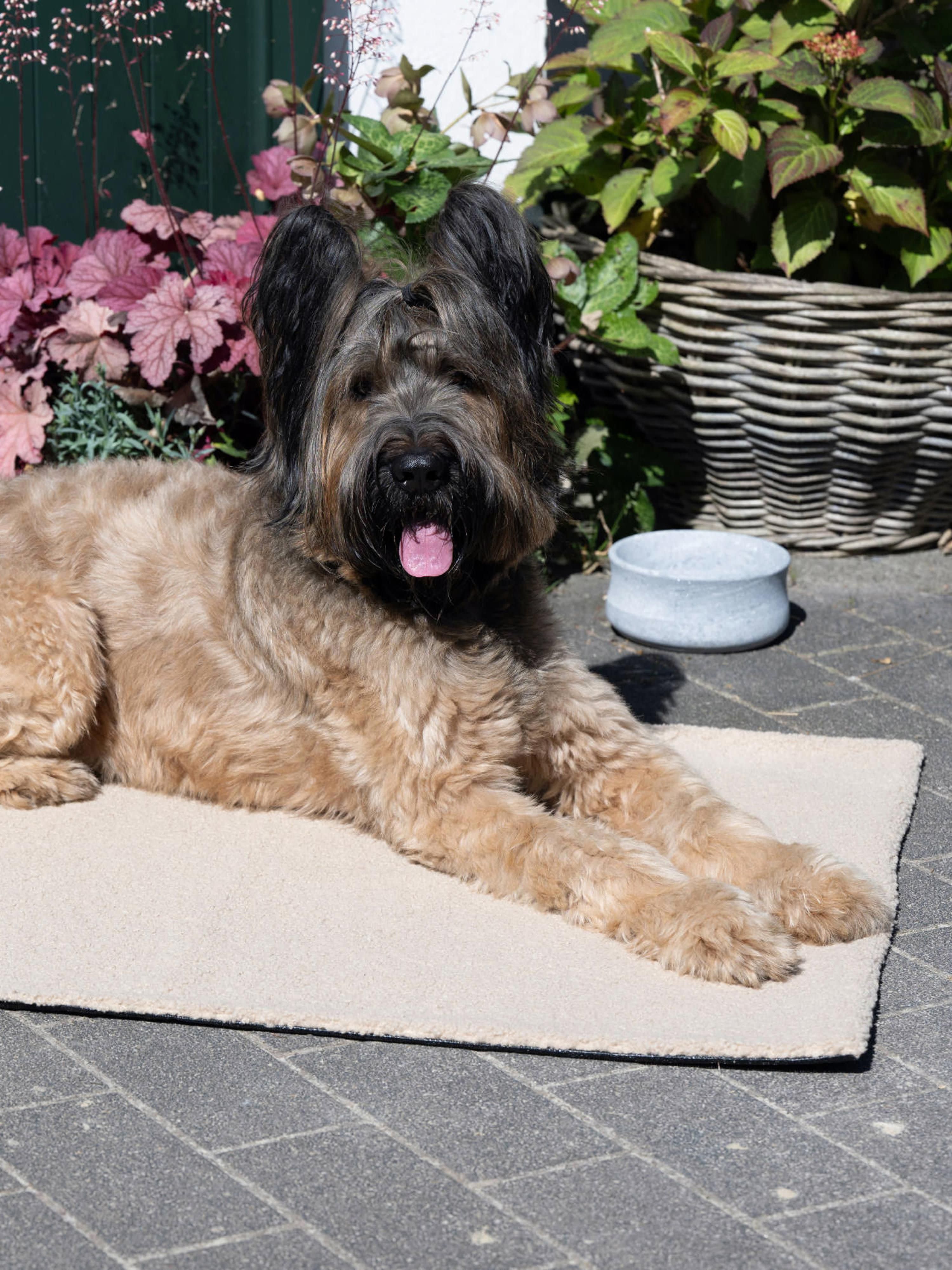 Haustier-Steppdecke Teddy mit Anti-Rutsch-Unterseite, in verschiedenen Größen