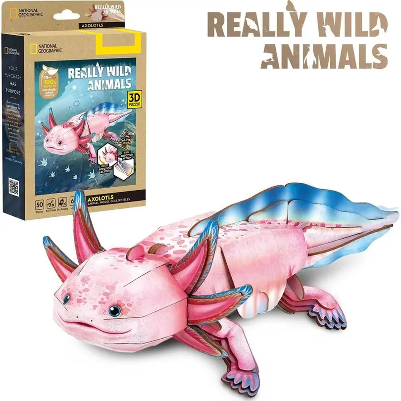 3D-Puzzle 50-teilig Axolotl