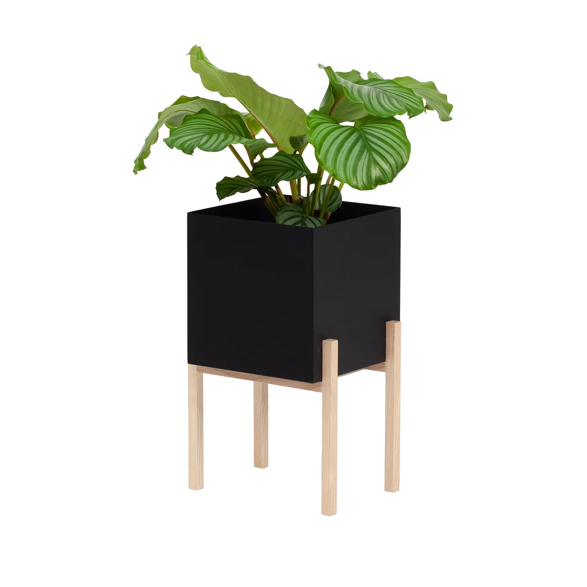 Design House Stockholm - Botanic Pedestal Pot, schwarz / natur
