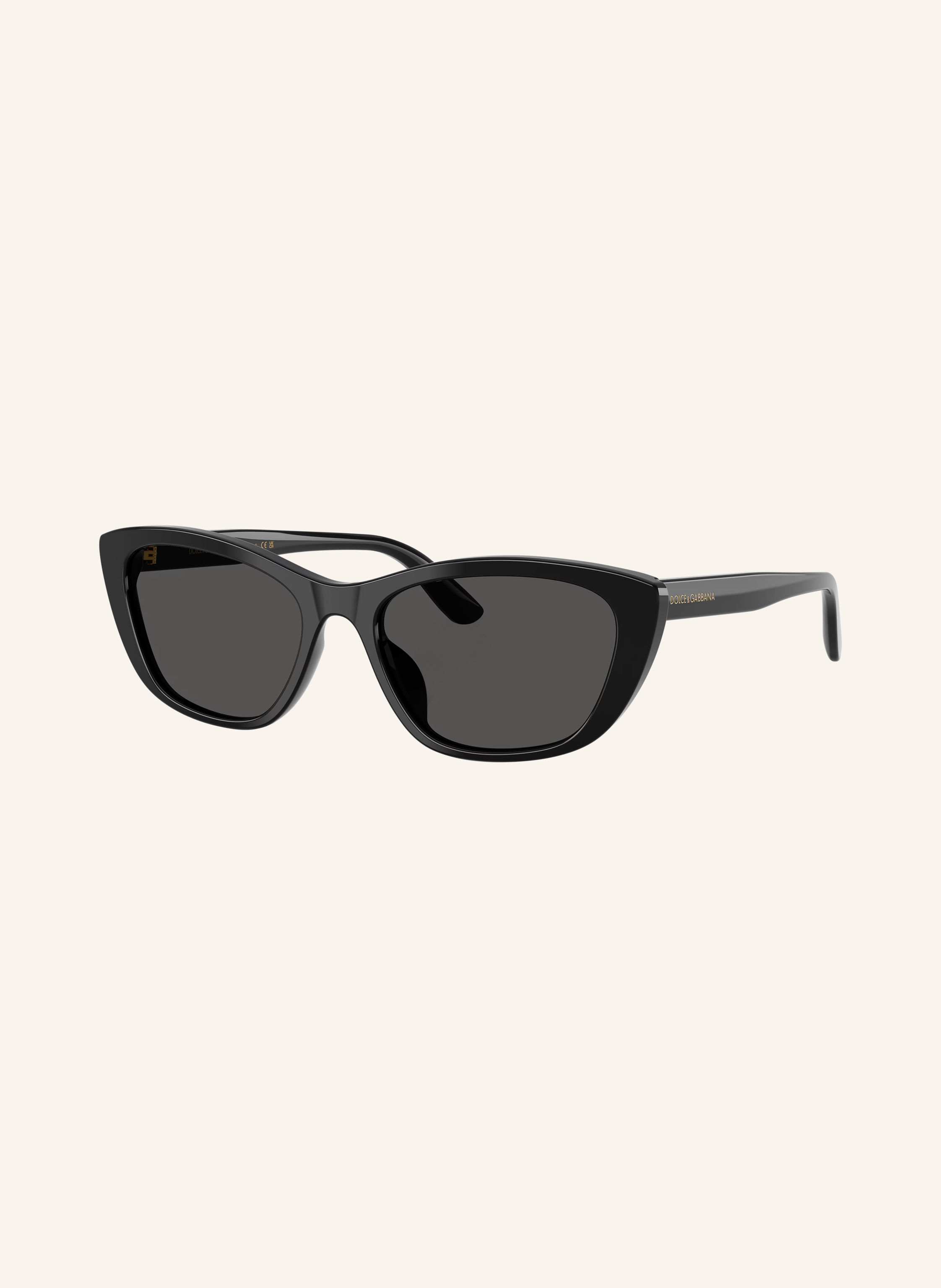 DOLCE & GABBANA Sonnenbrille DG4571
