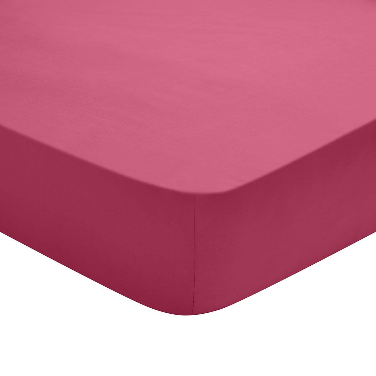 STUDIO - Drap Housse   Coton Fuschia 160x200 cm - DODO