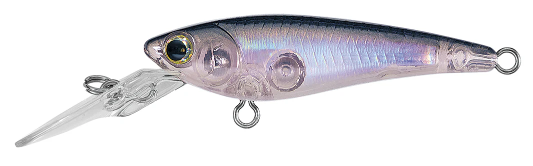 SC SHAD