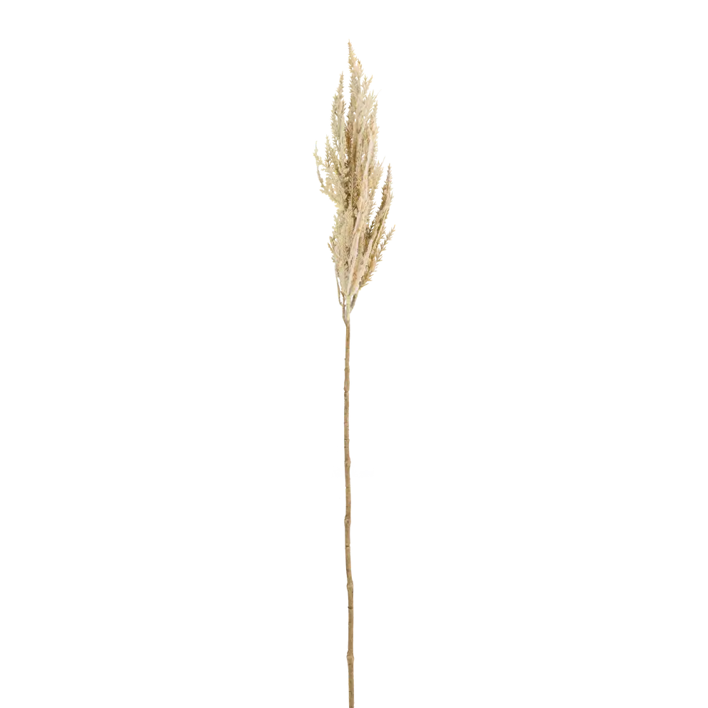 Dekozweig Dried-Grass